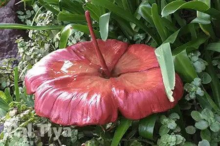 A glossy red Pal Tiya Premium flower with a textured, petal-like surface and a central stem, placed among green leaves and small plants.