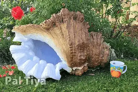 A large decorative shell sculpture resembling a giant seashell, placed outdoors on green grass with garden plants and flowers in the background. A small colorful cup sits to the right for scale. Made with Pal Tiya Premium