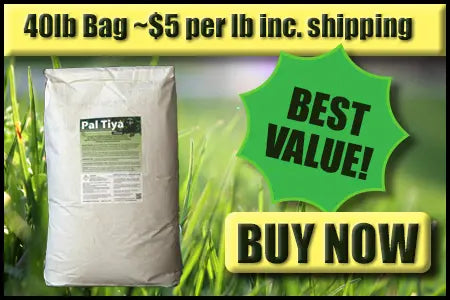 A white bag of Pal Tiya grass seed or fertilizer stands against a blurred green grass background, with promotional text reading '40lb Bag ~$5 per lb inc. shipping,' a green 'BEST VALUE!' badge, and a yellow 'BUY NOW' button.